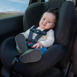 Clip de ceinture de sécurité