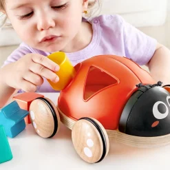 Coccinelle à tirer trieuse de formes