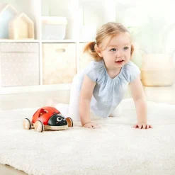 Coccinelle à tirer trieuse de formes