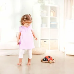 Coccinelle à tirer trieuse de formes