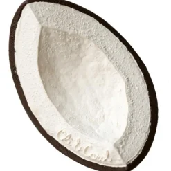 Coco la noix de coco en latex d'hévéa