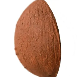 Coco la noix de coco en latex d'hévéa