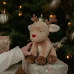 Coffret cadeau Noël