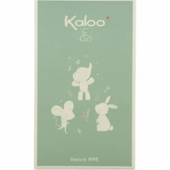 Coffret de naissance chaussons et bracelet sonore Souris