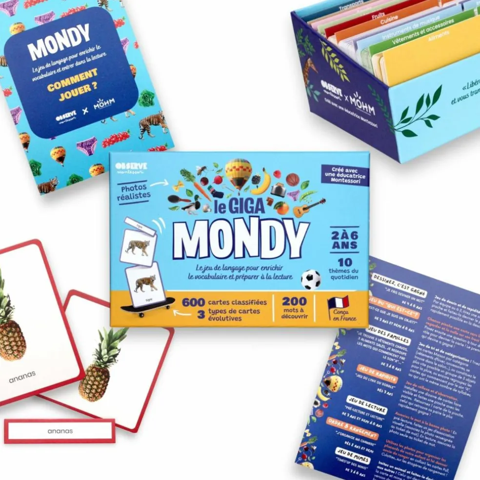 Coffret Giga Mondy (600 cartes Montessori pour développer le langage)