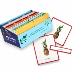 Coffret Giga Mondy (600 cartes Montessori pour développer le langage)
