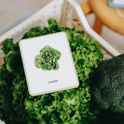 Coffret Mini Mondy (jeu de langage autour des fruits et légumes)