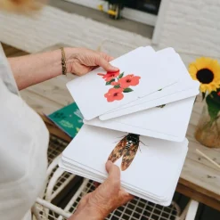 Coffret Mondy des Curieux (45 cartes de langage bilingues sur le thème de la nature)
