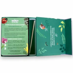 Coffret Mondy des Curieux (45 cartes de langage bilingues sur le thème de la nature)