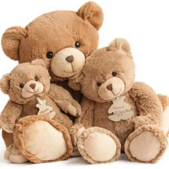 Coffret peluche Calin'ours Les Ours marron (25 cm)