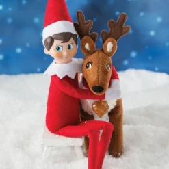 Coffret Renne Elf Pets et livre