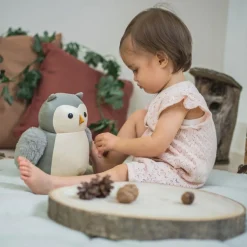 Colette la Chouette Les Animaux Musicaux