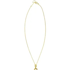 Collier chaîne La petite majuscule goldfilled jaune (personnalisable)