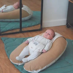 Coussin de grossesse Multirelax éponge microfibre noisette