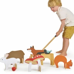 Croquet d'intérieur forêt