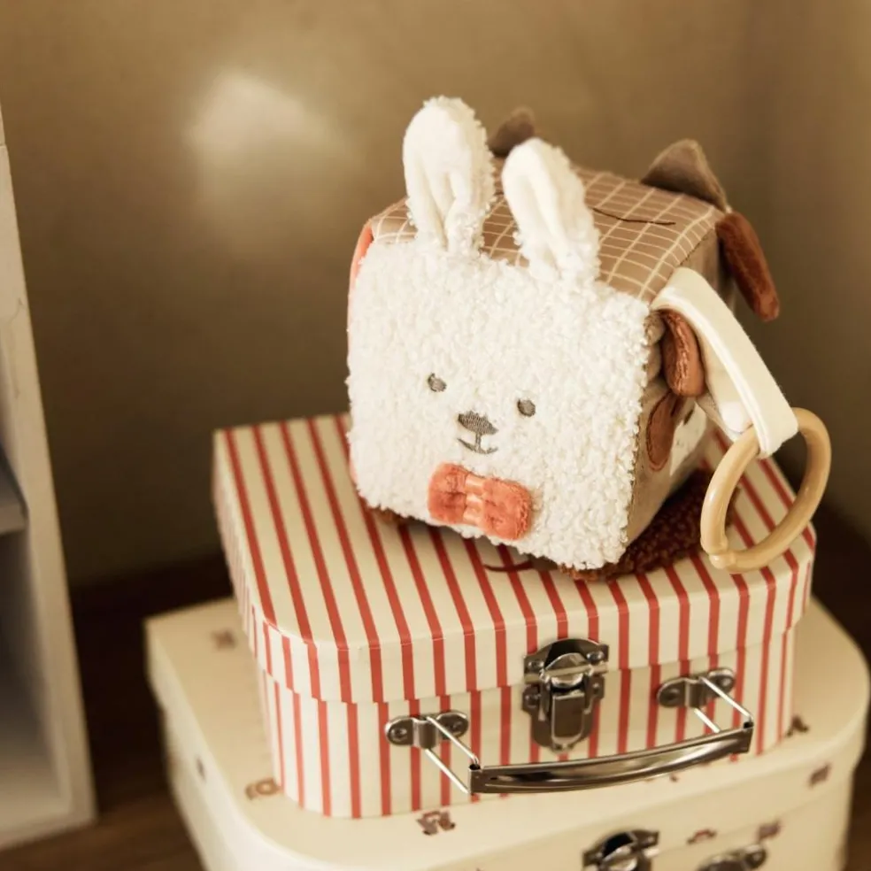 Cube d'activités Animal Friends