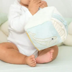 Cube d'activités Au Large de Nova