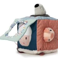 Cube d'activités Louis le Loup