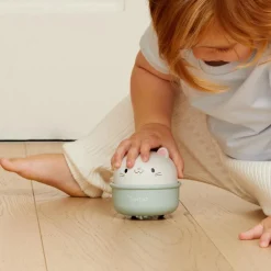 Culbuto et animal à friction chat