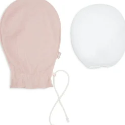 Décoration à suspendre Ballon Wild Rose