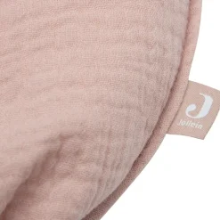 Décoration à suspendre Ballon Wild Rose