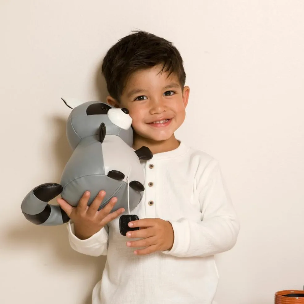 Denver le Raton laveur musical