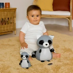 Denver le Raton laveur musical