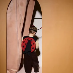 Déguisement Coccinelle Dress-up