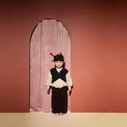 Déguisement Coccinelle Dress-up