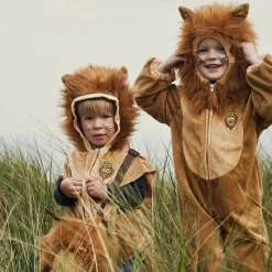 Déguisement de lion (4 ans)