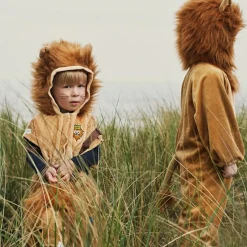 Déguisement de lion (4 ans)