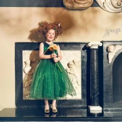 Déguisement Luisa robe (5-7 ans)