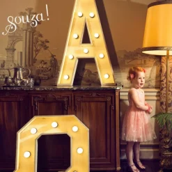 Déguisement Roselyne robe (2 ans)