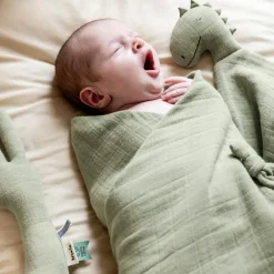 Doudou plat Bliss Sage Mr. Dino