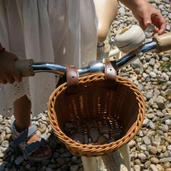 Draisienne Aiko Lemon