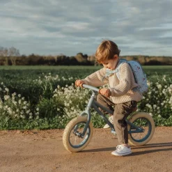 Draisienne blue matte