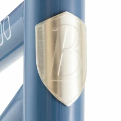 Draisienne First Go Blue