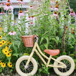 Draisienne First Go crème