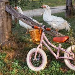 Draisienne First Go Dusty Pink