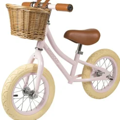 Draisienne First Go rose