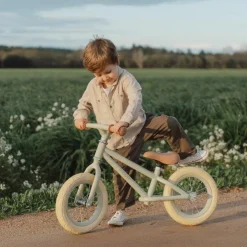 Draisienne green matte