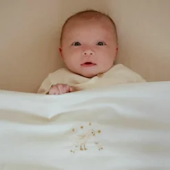 Drap housse de berceau Little Goose (70 x 100 cm)