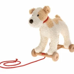 Eliot le chien à tirer