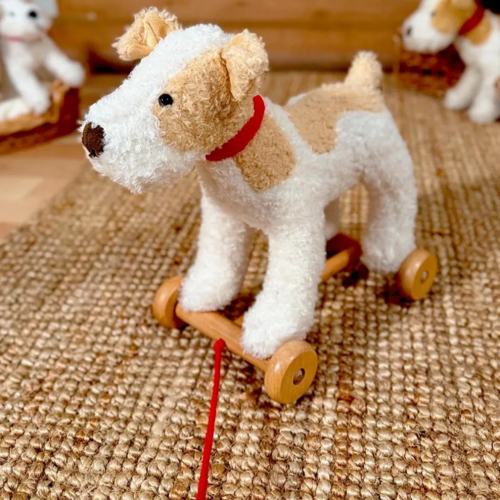 Eliot le chien à tirer