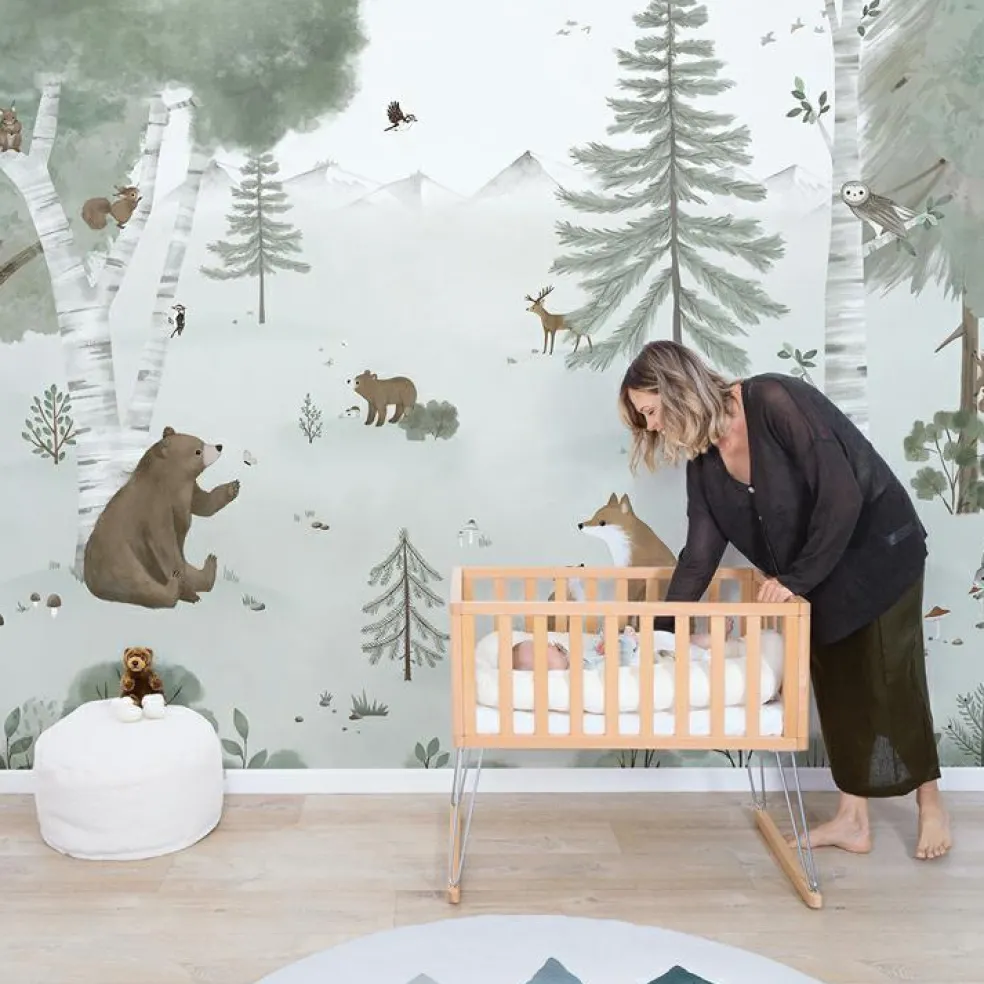 Fresque murale Mountain Life (400 x 248 cm)