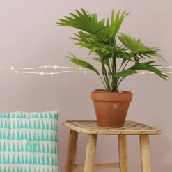 Frise adhésive Etoiles dorées (5 mètres)