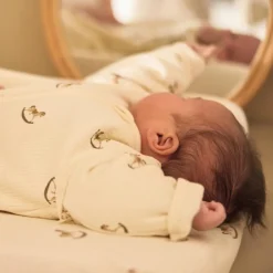 Gigoteuse à manches amovibles Nostalgic Ride (3-6 mois)