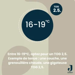 Gigoteuse 4 saisons Teddy Bear TOG 0,5-3 (0-3 mois)