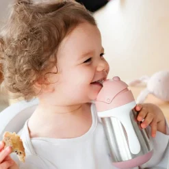 Gourde à paille en inox Old pink (250 ml)