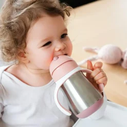 Gourde à paille en inox Old pink (250 ml)